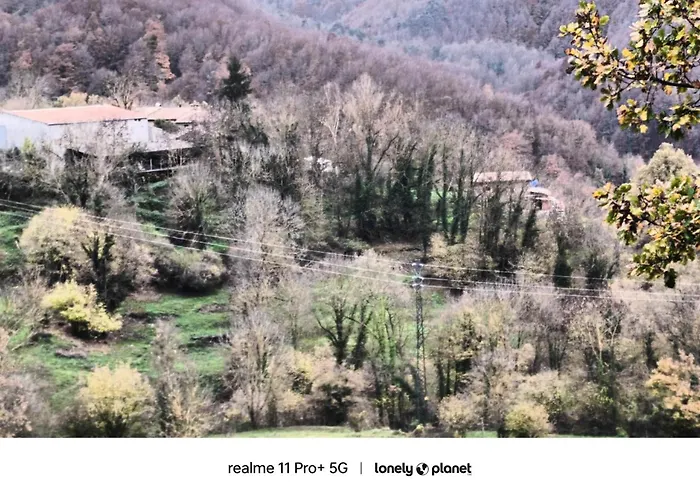 Allotjaments Rurals Can Punti