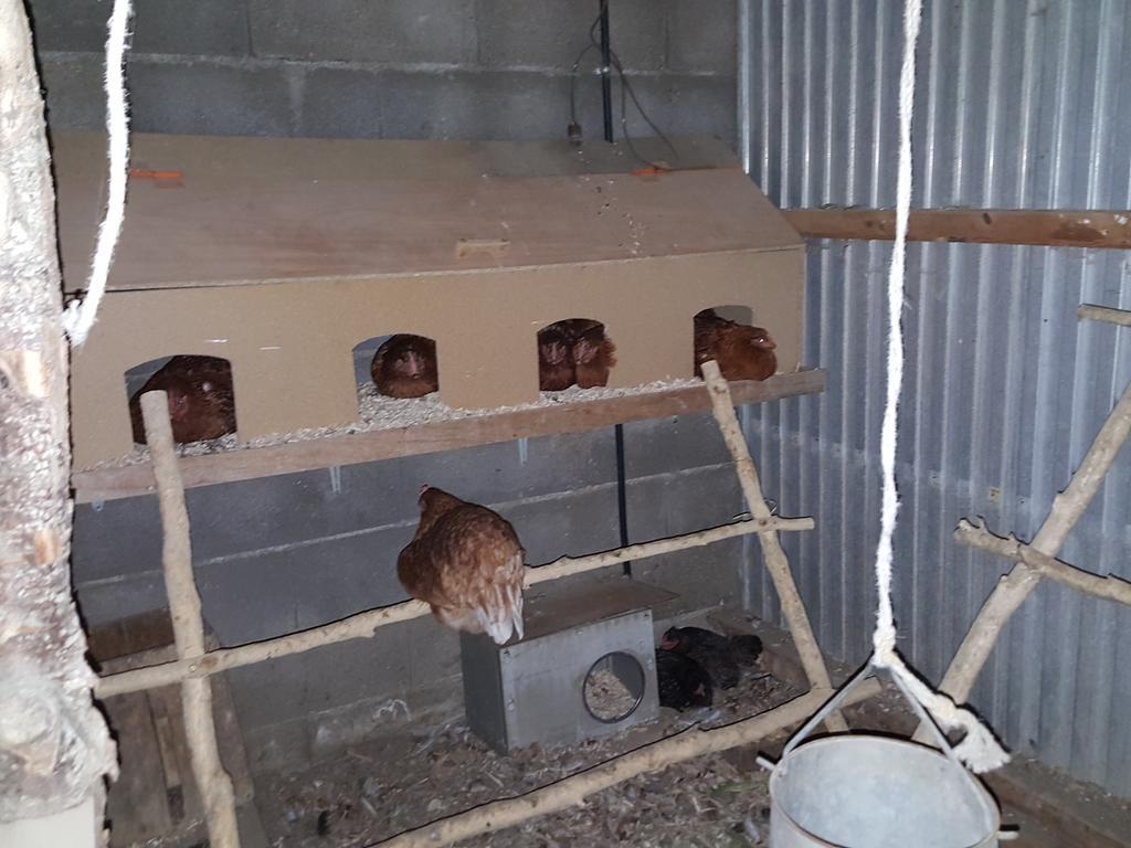 Séjour à la ferme Allotjaments Rurals Punti Vallfogona de Ripolles