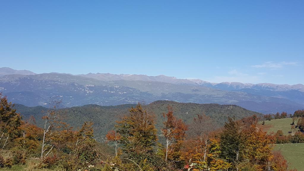 Allotjaments Rurals Punti Séjour à la ferme