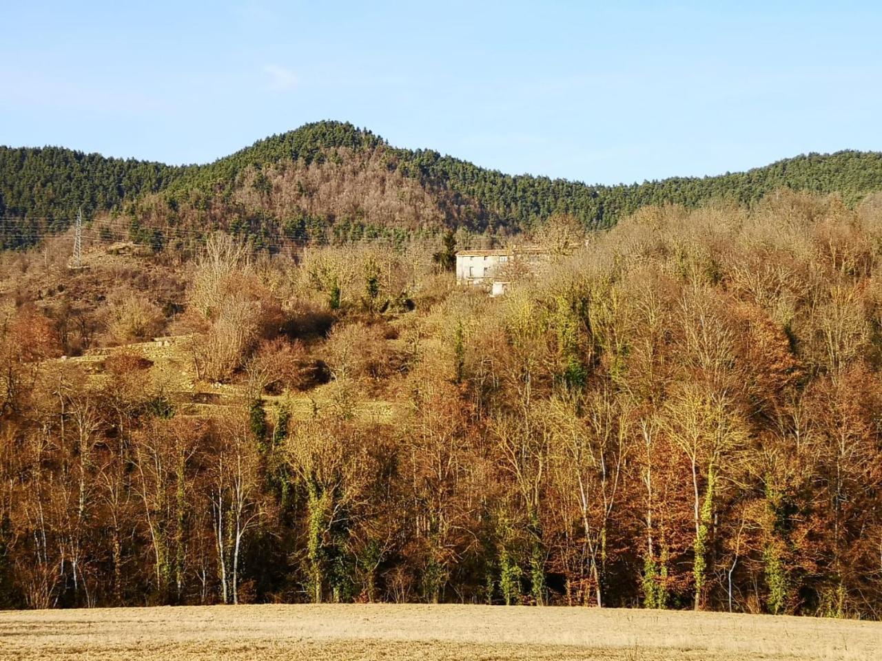 Allotjaments Rurals Punti Gospodarstwo agroturystyczne